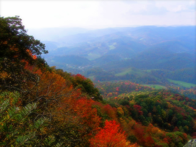 Brilliant red and orange autumn foliage canopy viewed from a High Country summit with river valley visible below